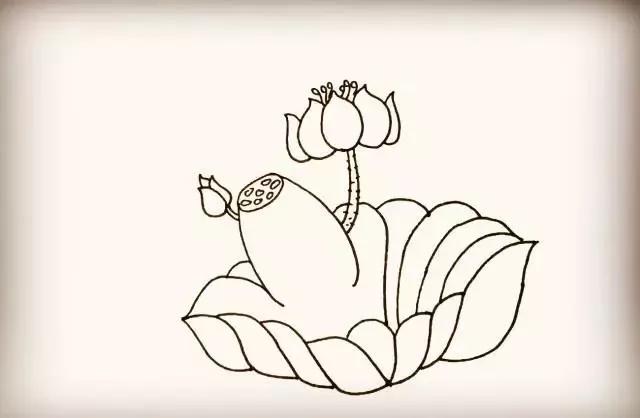 零基础入门，教你超简单的花朵简笔画-10.jpg