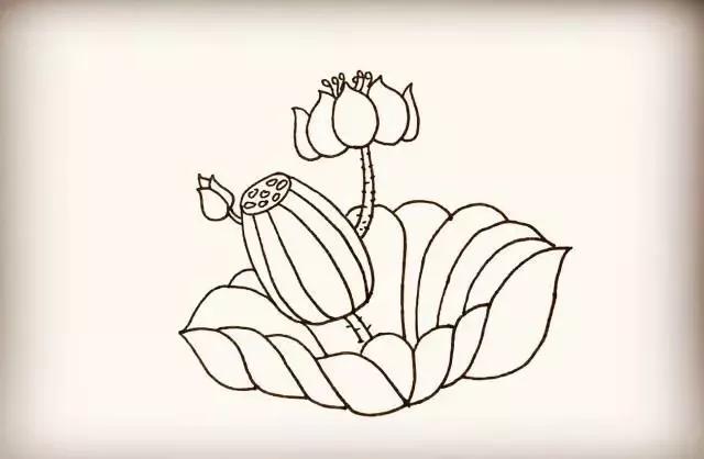零基础入门，教你超简单的花朵简笔画-12.jpg