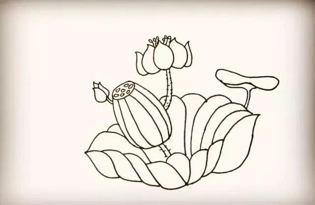 零基础入门，教你超简单的花朵简笔画-13.jpg