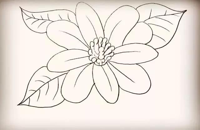 零基础入门，教你超简单的花朵简笔画-23.jpg
