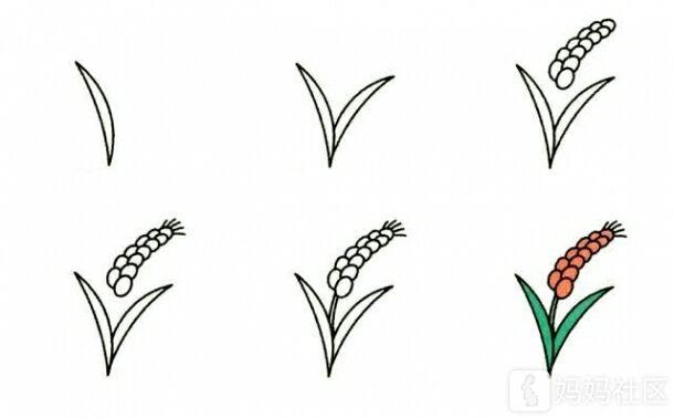 植物简笔画，宅家哄孩子必备神器-4.jpg