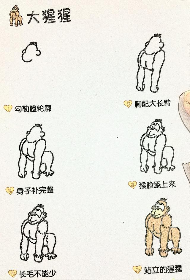 6步完成简笔画，宅家孩子的好帮手，超喜欢-5.jpg