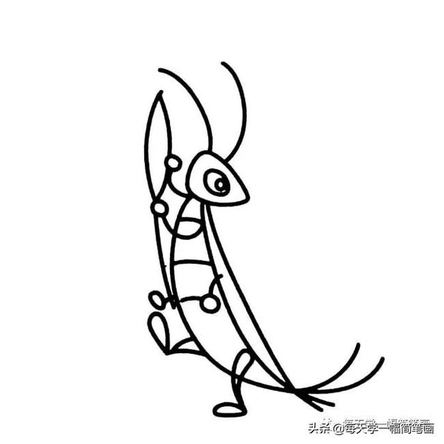 每天学一幅简笔画--蝗虫简笔画简单画法步骤图解教程及图片大全-11.jpg