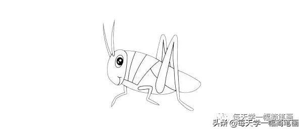 每天学一幅简笔画--蝗虫简笔画简单画法步骤图解教程及图片大全-6.jpg