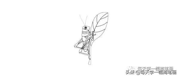 每天学一幅简笔画--蝗虫简笔画简单画法步骤图解教程及图片大全-9.jpg