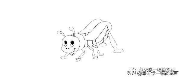 每天学一幅简笔画--蝗虫简笔画简单画法步骤图解教程及图片大全-8.jpg