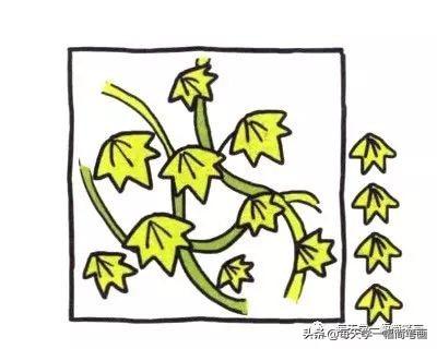 每天学一幅简笔画--四步画出爬山虎简笔画图片-4.jpg