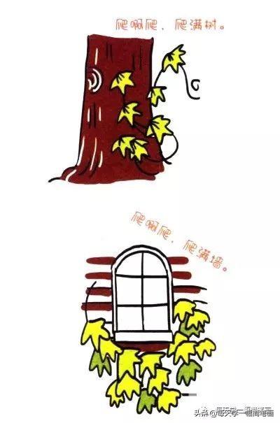 每天学一幅简笔画--四步画出爬山虎简笔画图片-6.jpg