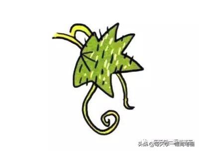 每天学一幅简笔画--四步画出爬山虎简笔画图片-5.jpg