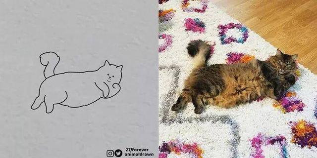 看着Ins热传的沙雕动物简笔画，想起你家主子了吗？-13.jpg