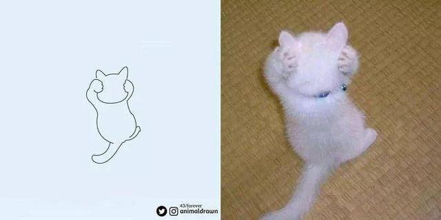 看着Ins热传的沙雕动物简笔画，想起你家主子了吗？-17.jpg