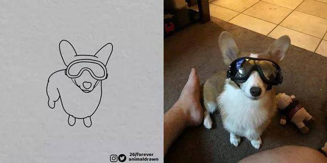 看着Ins热传的沙雕动物简笔画，想起你家主子了吗？-12.jpg