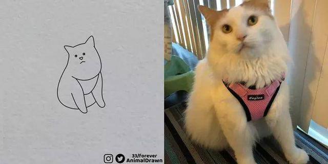 看着Ins热传的沙雕动物简笔画，想起你家主子了吗？-40.jpg