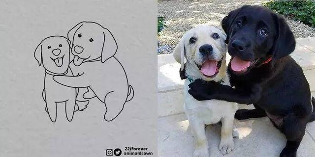 看着Ins热传的沙雕动物简笔画，想起你家主子了吗？-34.jpg