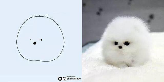 看着Ins热传的沙雕动物简笔画，想起你家主子了吗？-45.jpg