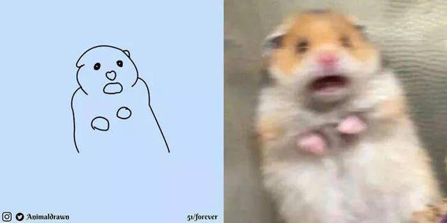 看着Ins热传的沙雕动物简笔画，想起你家主子了吗？-46.jpg