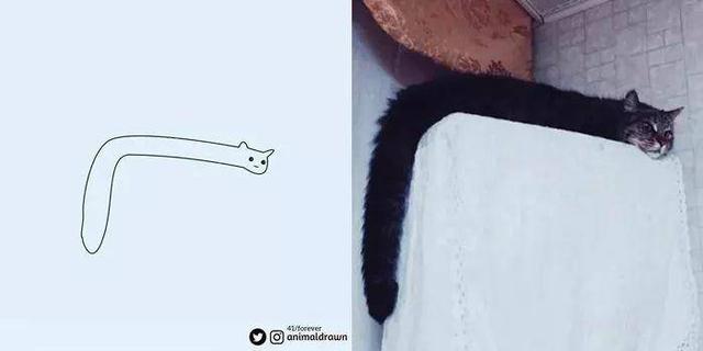 看着Ins热传的沙雕动物简笔画，想起你家主子了吗？-50.jpg