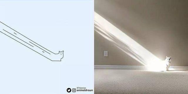 看着Ins热传的沙雕动物简笔画，想起你家主子了吗？-49.jpg