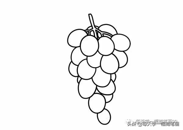 每天学一幅简笔画--葡萄简笔画步骤图片大全-5.jpg