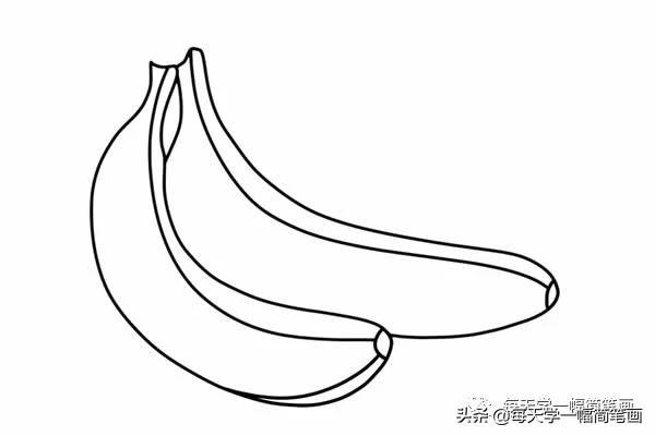 每天学一幅简笔画--两个香蕉简笔画步骤图片大全-5.jpg