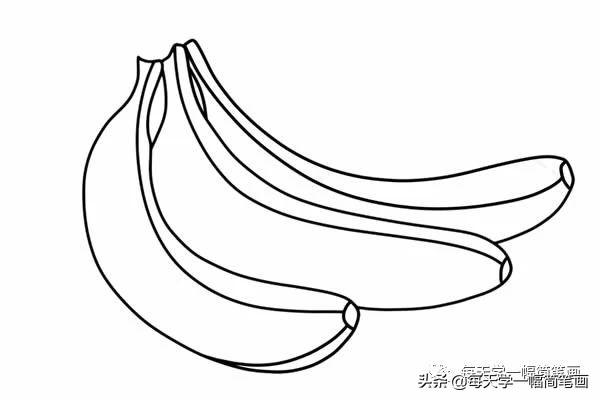 每天学一幅简笔画--两个香蕉简笔画步骤图片大全-6.jpg