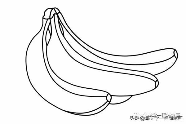 每天学一幅简笔画--两个香蕉简笔画步骤图片大全-7.jpg