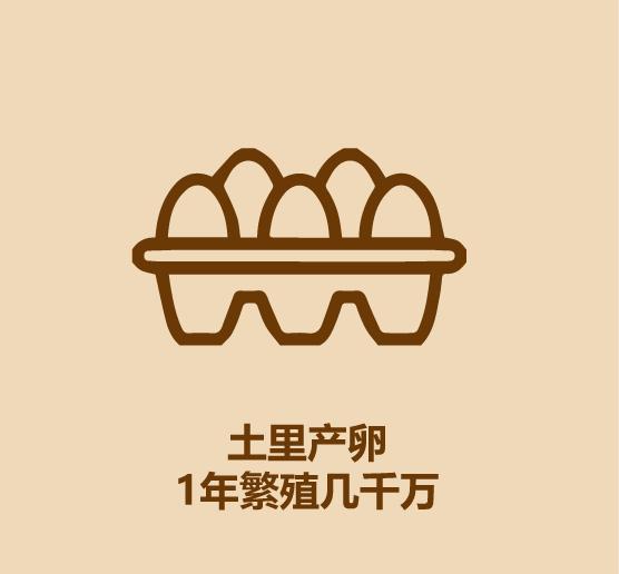 30秒认识蚂蚱-5.jpg