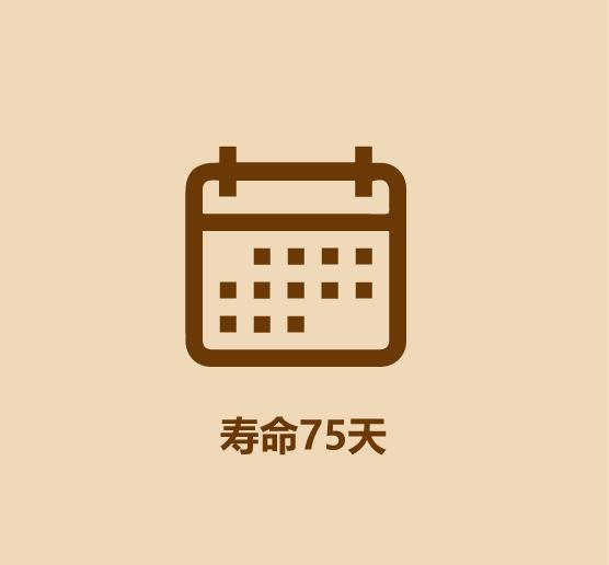 30秒认识蚂蚱-4.jpg