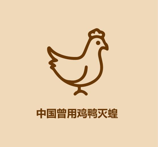 30秒认识蚂蚱-14.jpg