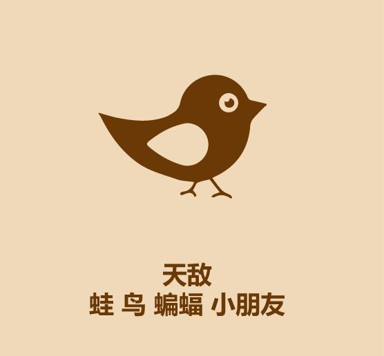 30秒认识蚂蚱-13.jpg