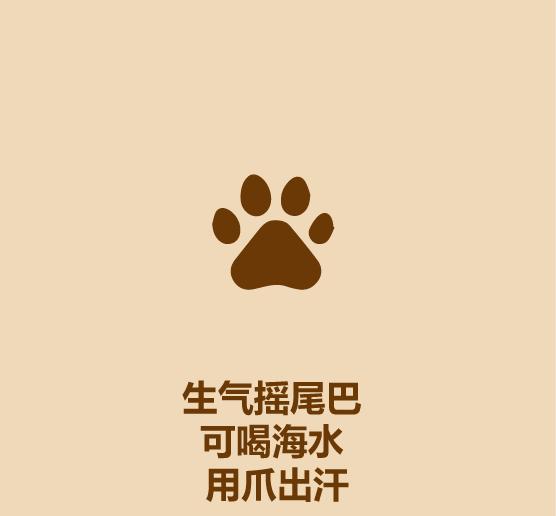 1分钟认识猫狗-6.jpg