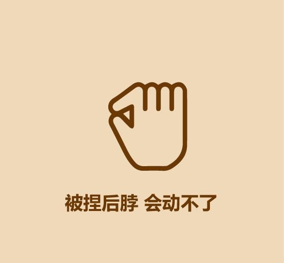 1分钟认识猫狗-7.jpg
