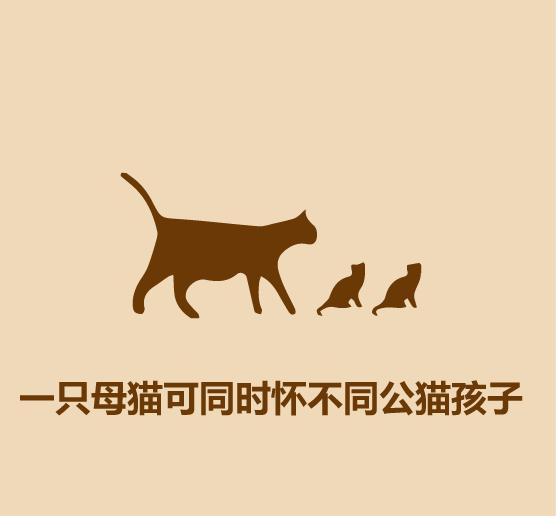 1分钟认识猫狗-10.jpg