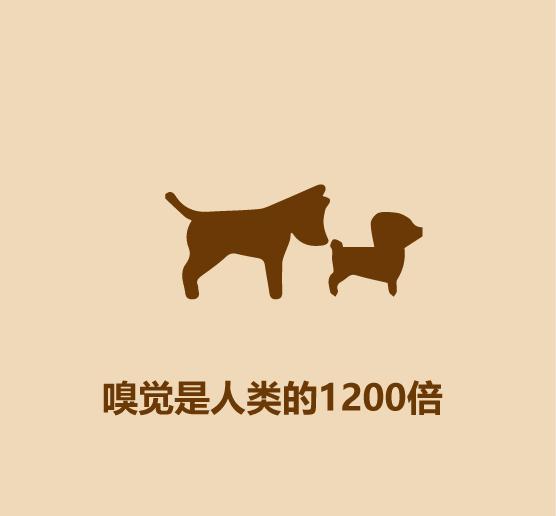 1分钟认识猫狗-22.jpg