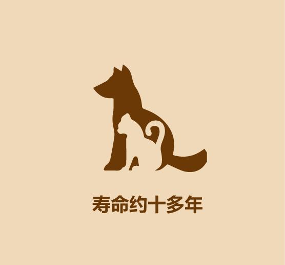 1分钟认识猫狗-20.jpg