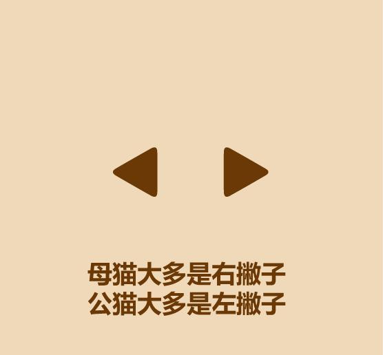 1分钟认识猫狗-14.jpg