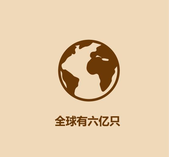 1分钟认识猫狗-21.jpg