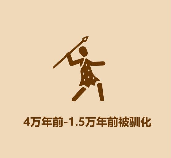 1分钟认识猫狗-18.jpg