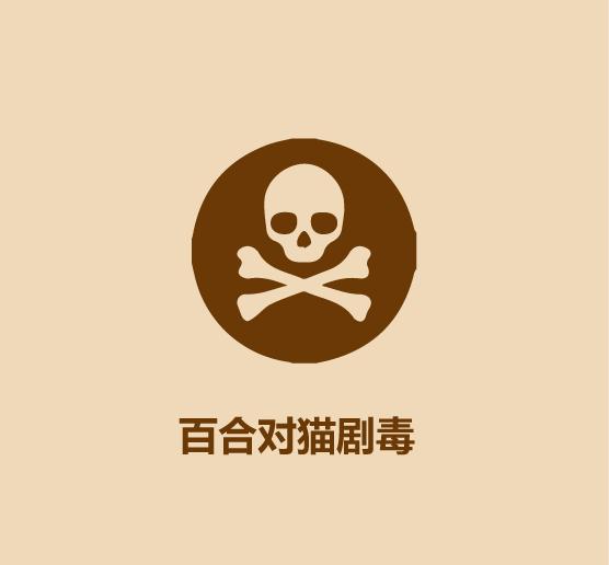 1分钟认识猫狗-13.jpg
