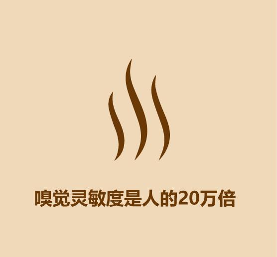 1分钟认识猫狗-12.jpg