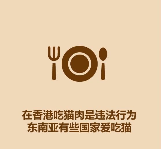 1分钟认识猫狗-15.jpg