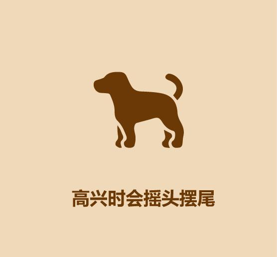 1分钟认识猫狗-29.jpg