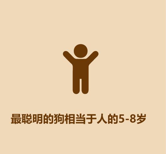 1分钟认识猫狗-30.jpg