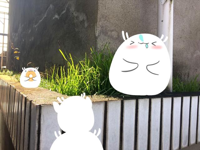 简笔画——家中出现的小可爱，乐趣多多-11.jpg