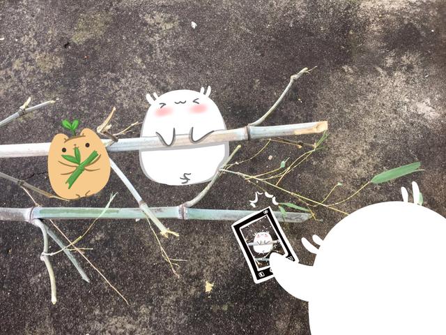 简笔画——家中出现的小可爱，乐趣多多-7.jpg