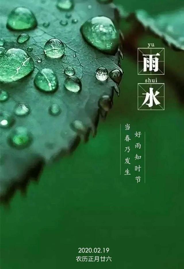 止庐八雅  今日雨水   东风解冻 散而为雨  王伟书法作品欣赏-22.jpg