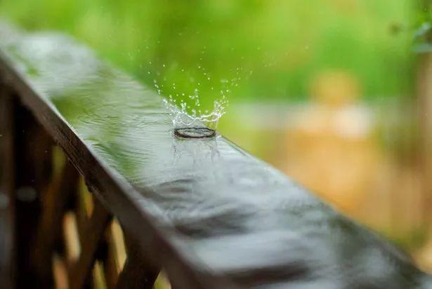 止庐八雅  今日雨水   东风解冻 散而为雨  王伟书法作品欣赏-21.jpg