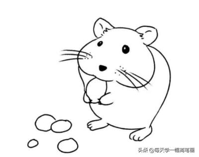 每天学一幅简笔画--鼠年各种老鼠简笔画-4.jpg