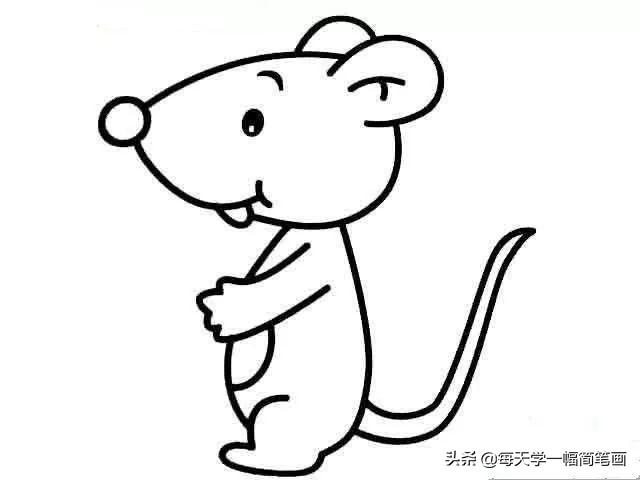 每天学一幅简笔画--鼠年各种老鼠简笔画-6.jpg