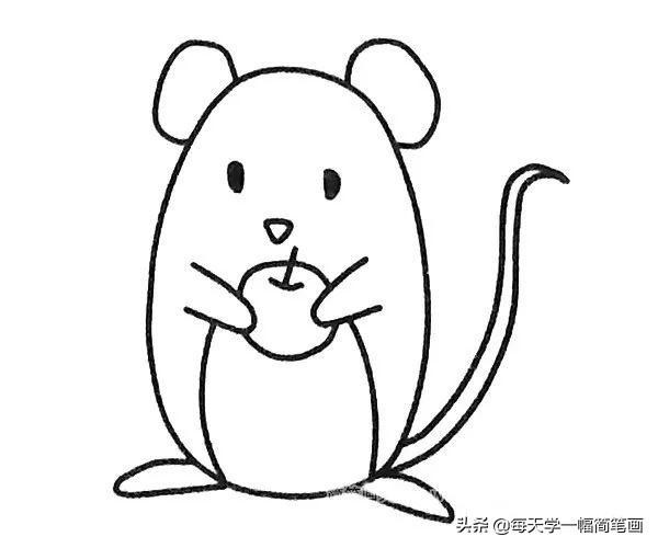 每天学一幅简笔画--鼠年各种老鼠简笔画-7.jpg